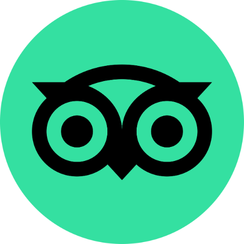 Gast auf Tripadvisor